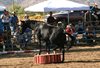 Steve Perron's horse "Noir"